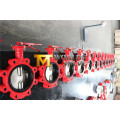 Bare Stem Lugger Type Butterfly Valve